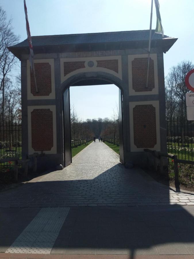 Quiet Apartment In Antwerp Near Parc - B&B Intermezzo - Business & Leisure 외부 사진